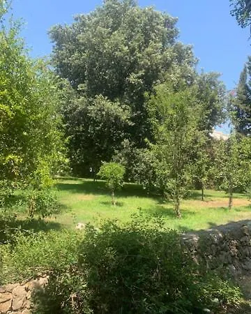 Madreperla 3* 加利波利