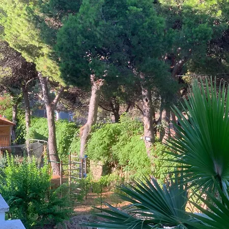 Madreperla * Gallipoli