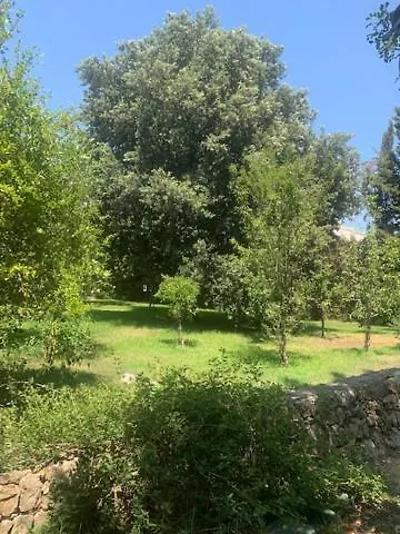 Madreperla * Gallipoli