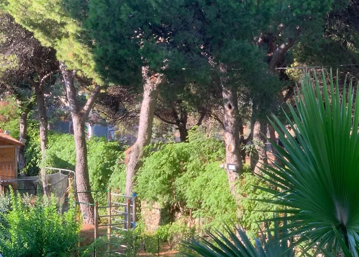 Madreperla * Gallipoli